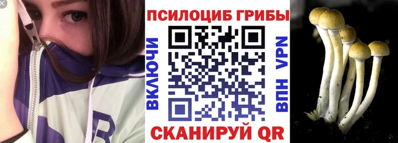 Псилоцибиновые грибы прущие грибы  Белёв 